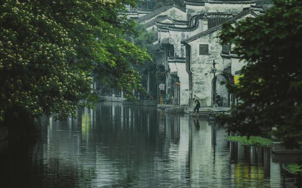 集邮者的收藏